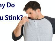The Real Reason Why You Stink