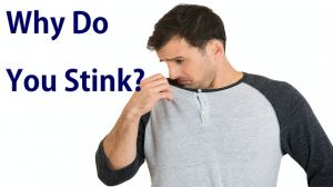 stink 