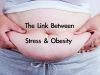 New Research Reinforces Connection between Stress and Obesity