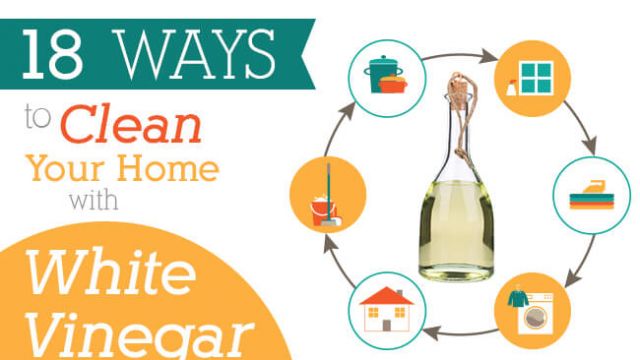 white vinegar