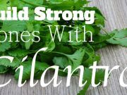 Building Strong Bones, Teeth & More with Cilantro