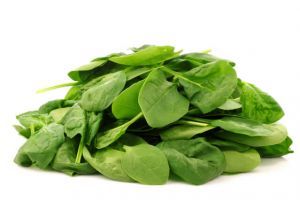 bunch of fresh spinach leaves on a white background