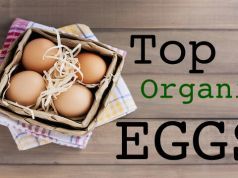 Best Organic Eggs