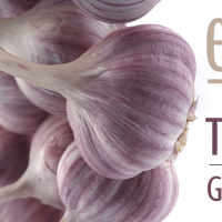 EatTypeGarlicRussianGarlic_640x359