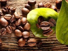 Destroy Free Radicals and 9 Other Reasons to Drink Coffee Leaf Tea