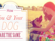 How You and Your Dog are the Same