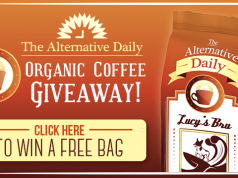 Podcast Episode #13: Major Alternative Daily Announcement, How to Cold Brew Coffee, Get Out of Your Own Damn Way