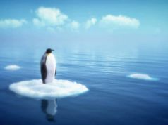 Climate Change Is a Very Serious Threat Says President Obama