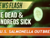 One Dead and Hundreds Sick in U.S. Salmonella Outbreak