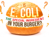 Is E. Coli the Special Ingredient in Your Burger?