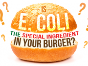 Is E. Coli the Special Ingredient in Your Burger?