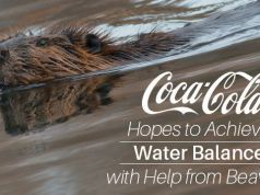 Coca-Cola Hopes to Achieve Water Balance with Help from Beavers