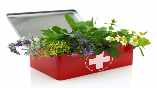 Fresh herbs in first aid kit