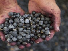 5 Reasons Eating Acai Every Day Can Improve Your Health