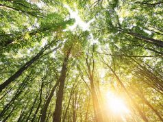 What You Need to Know about the Sunshine Vitamin