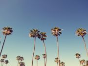 California Conserves Water with New “Shade Balls”