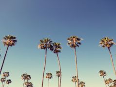 California Conserves Water with New “Shade Balls”