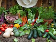 Hobby Farms Are Helping Urbanites Get In Touch with Their “Country” Side