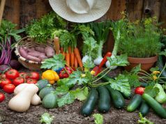 Hobby Farms Are Helping Urbanites Get In Touch with Their “Country” Side