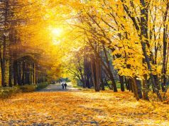 Improve Your Sleep and Health by Connecting with Nature