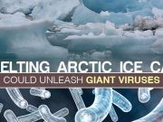 Melting Arctic Ice Cap Could Unleash Giant Viruses
