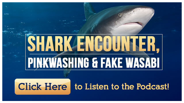 SharkEncounterPinkwashingFakeWasabiPodcast