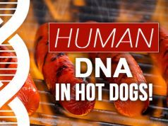 Human DNA in Hot Dogs!