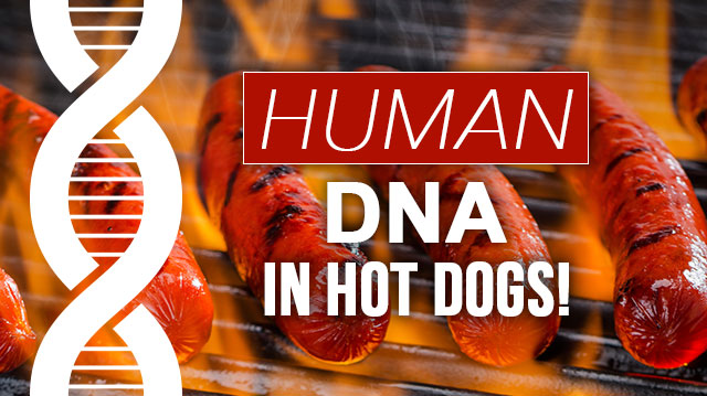 humanDNAhotdogs_640x359