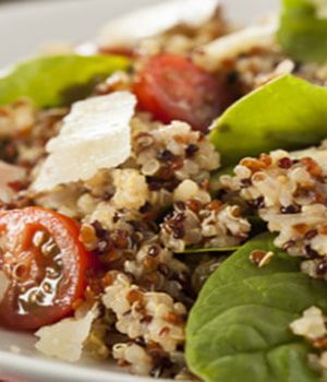 Meatless Protein: Get Your Protein from Veggies and Other Sources