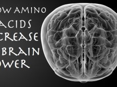 How Amino Acids in Foods Increase Brain Power
