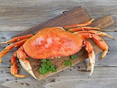 Toxic Levels of Acid Halt Crabbing Season on the West Coast