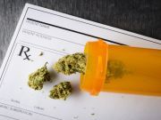 Cannabis Tech Startups Bring Marijuana to Your Doorstep Like Dominos