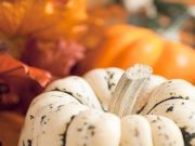 5 Healthy Ways to Stuff a Winter Squash