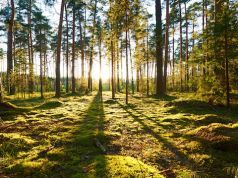 This Simple Habit May Affect Weight Loss