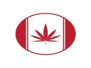 Will Canadians Soon Have Their Medical Marijuana Covered By Insurance?