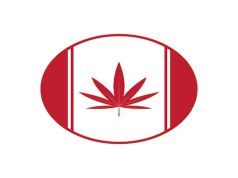 Will Canadians Soon Have Their Medical Marijuana Covered By Insurance?