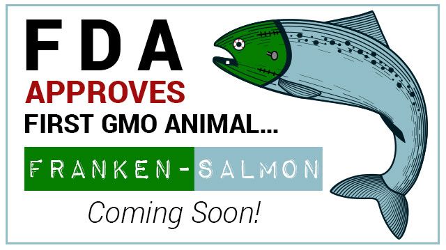 FrankenSalmon