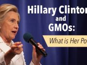 Hillary Clinton and GMOs: What Is Her Policy?