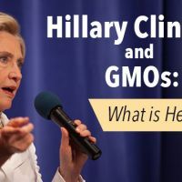HillaryClintonGMO