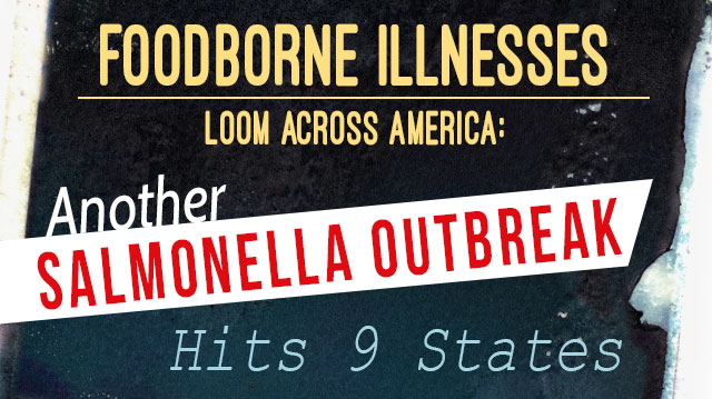 AnotherSalmonellaOutbreakHits9States_640x359