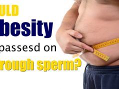 Could Obesity Be Genetically Passed On Through Sperm?