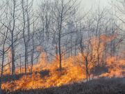Natural Disasters Are on the Rise: What It Means for the World
