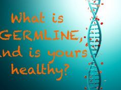 What Is the Germline, and Is Yours Healthy?