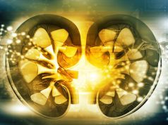 Kidneys on Craigslist? New Jersey Donor Offers Gift of Life