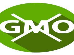 Nearly 90 Percent of Americans Want GMO Labeling — Why Is It So Difficult?