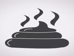 Wait! Don’t Flush That Poop… It’s Useful