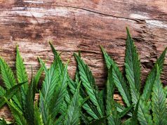 Don’t Mess with Fake Marijuana