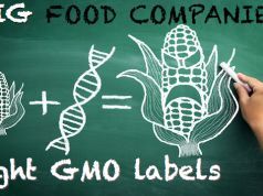Big Food Companies Continue Fighting GMO Labels