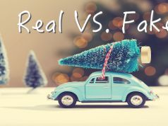 Real vs. Fake Christmas Trees: Which Is Better?