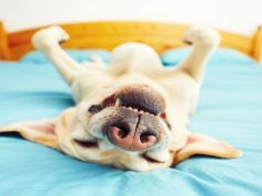 Anti-Aging and 8 Other Benefits of Melatonin